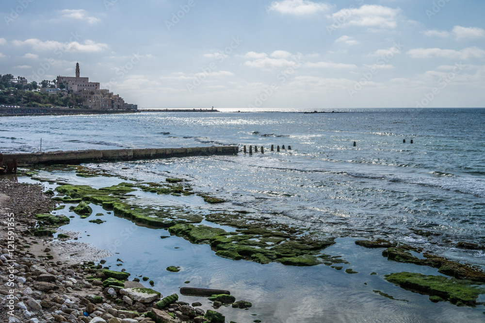 Fototapeta Jaffa Tel Aviv Sea