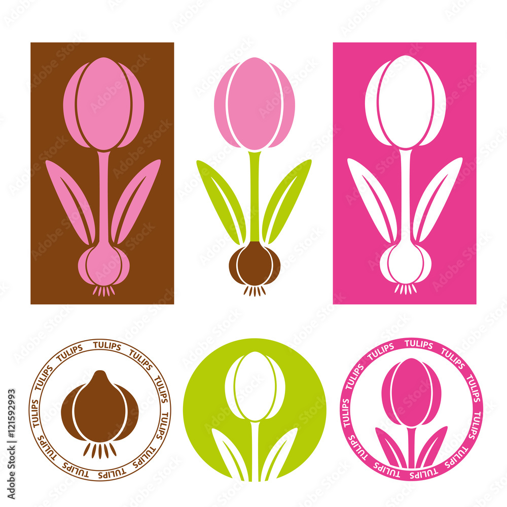 Tulip icons, stamps and infographics elements set. Vector illustration
