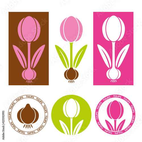 Tulip icons, stamps and infographics elements set. Vector illustration