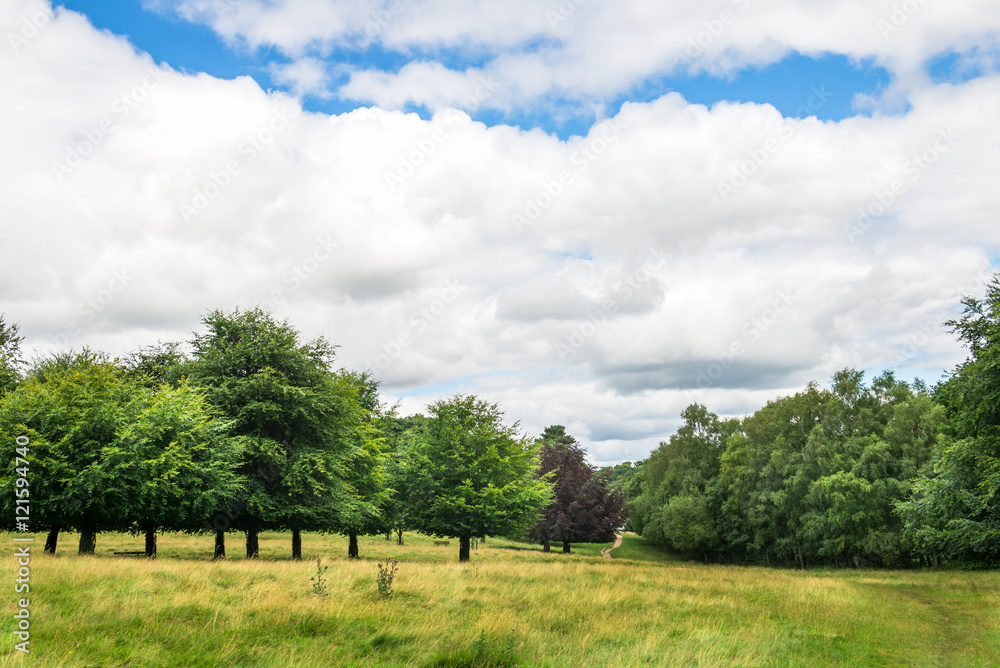 Green Landscape in the Park with Blue Sky and Fluffy White Clouds during Summer. England, Uk Green Landscape in the Park with Blue Sky and Fluffy White Clouds during Summer. England, Uk