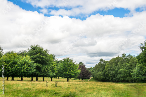 Green Landscape in the Park with Blue Sky and Fluffy White Clouds during Summer. England, Uk