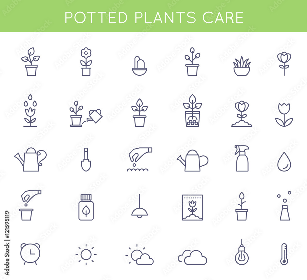 Garden and Potted Plants Care Instructions Icons and Pictograms. Vector Flat Outline Symbols
