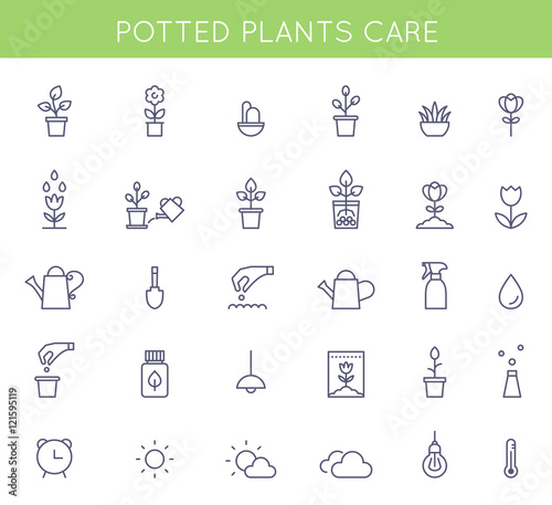 Garden and Potted Plants Care Instructions Icons and Pictograms. Vector Flat Outline Symbols