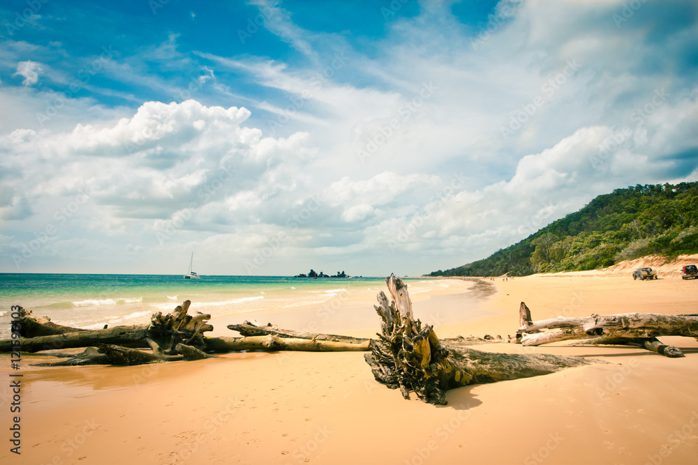 Naklejka premium View to beach in beautiful sunny weather, Moreton Island, Australia