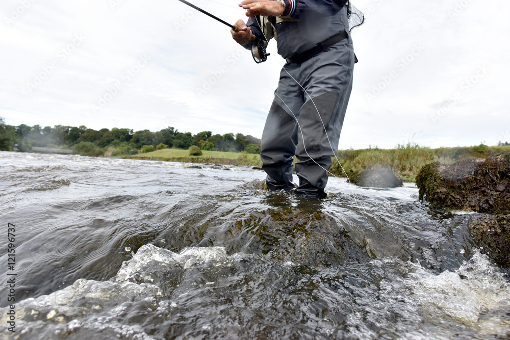 Fly fisherman fishing in river to catch brown trout Fly fisherman fishing in river to catch brown trout