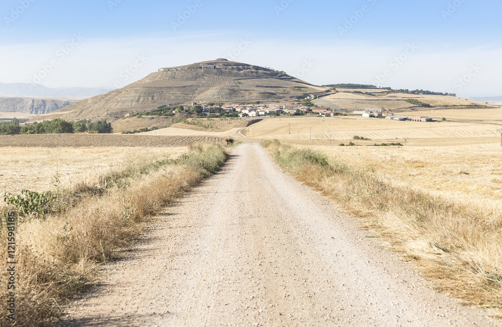 summer landscape and a view of Ibrillos village on a summer day, Burgos, Spain