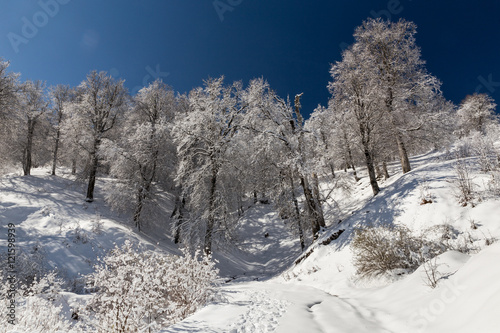 Winter in Derazno, Golestan, Iran © sghiaseddin
