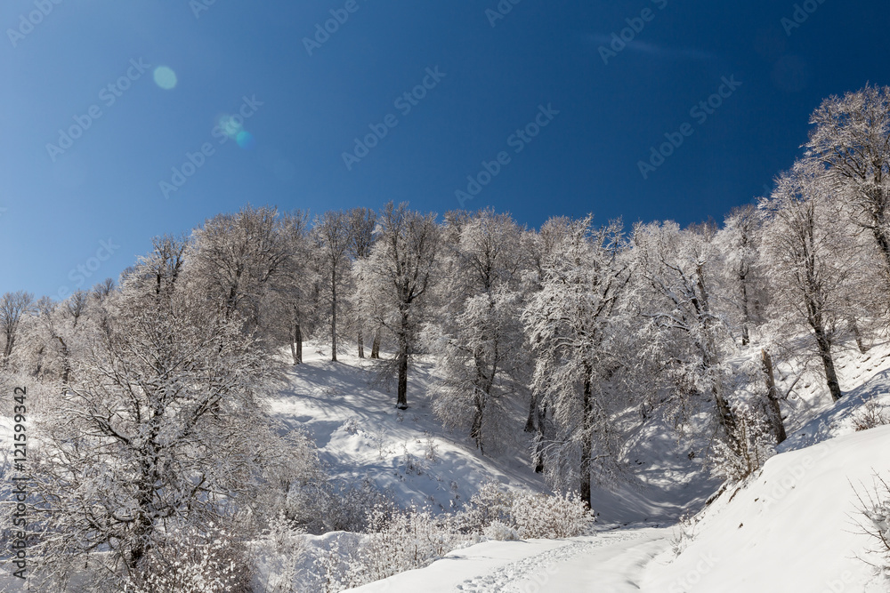 Fototapeta premium Winter in Derazno, Golestan, Iran