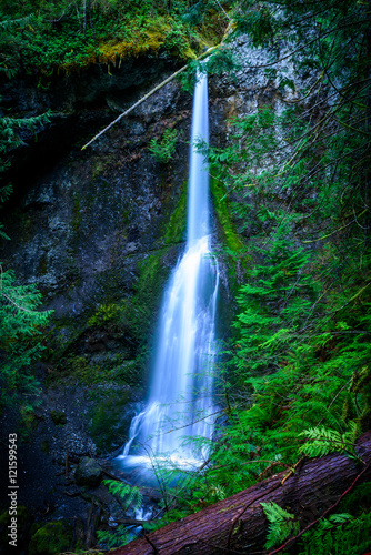 Marymere Falls photo