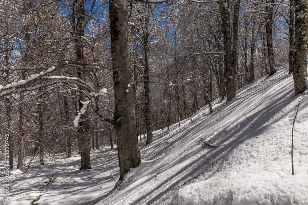 Obraz premium Winter in Derazno, Golestan, Iran