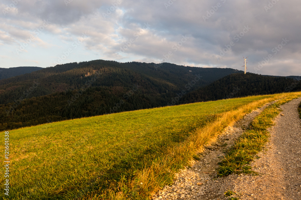Obraz premium Wanderweg in der Abendsonne