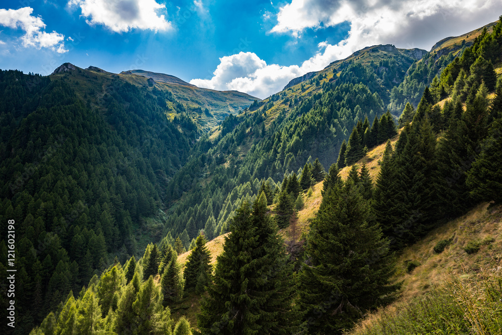 Obraz premium Panorama of Romanian Carpathians