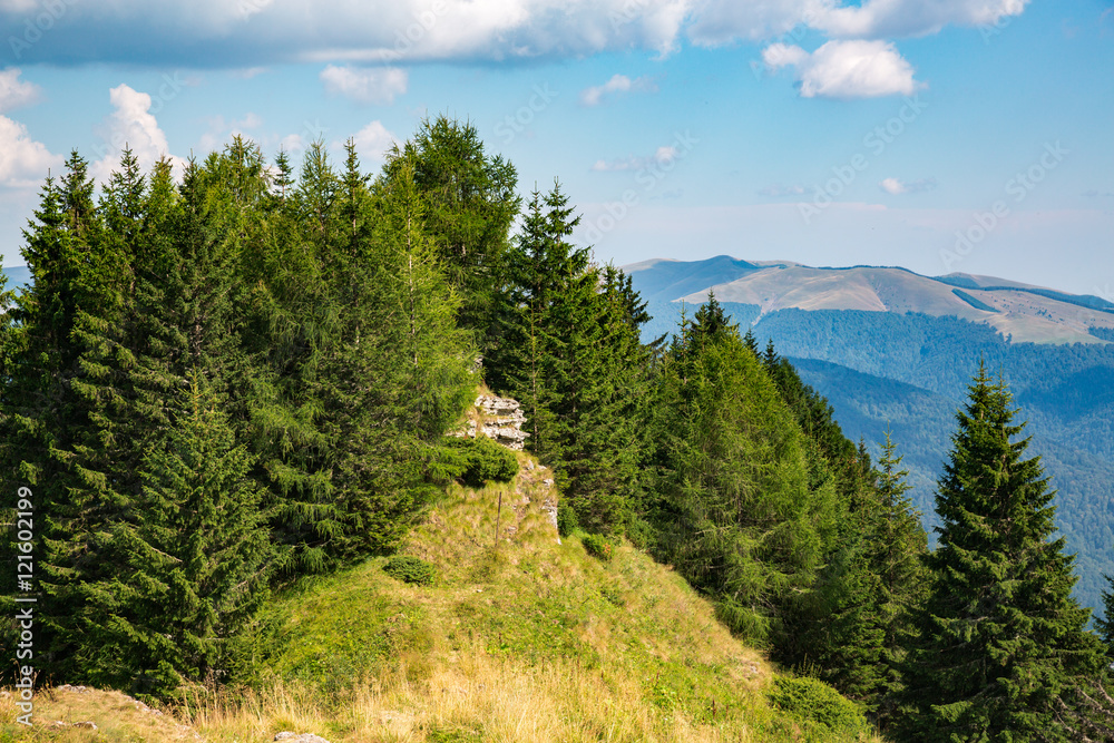 Panorama of Romanian Carpathians Panorama of Romanian Carpathians