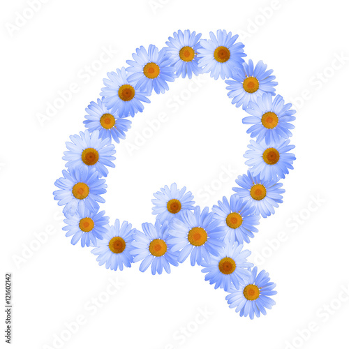 Blue Daisy Letter Q Upper Case