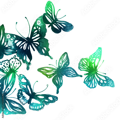 butterflies painted with watercolors