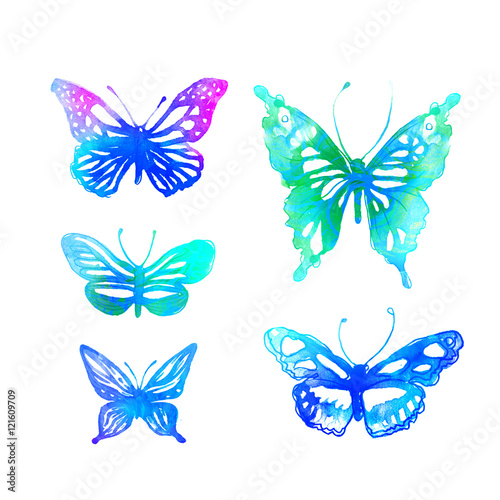 butterflies painted with watercolors