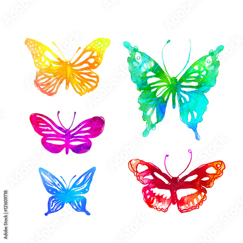 butterflies painted with watercolors