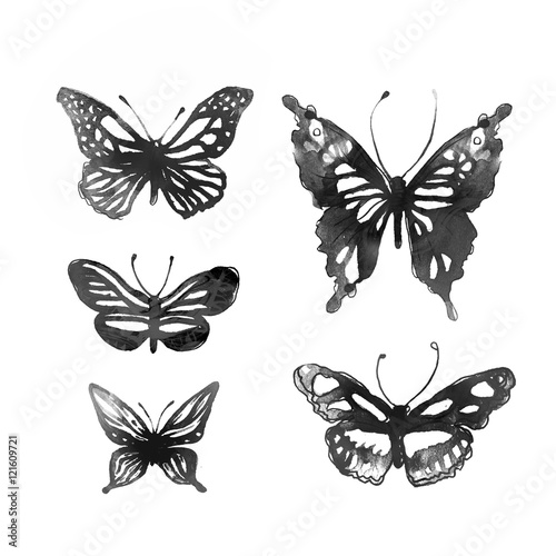 butterflies painted with watercolors