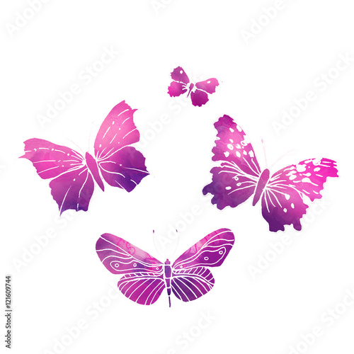 butterflies painted with watercolors