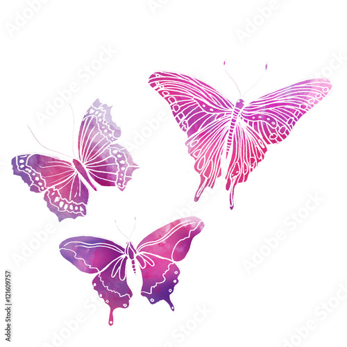 butterflies painted with watercolors