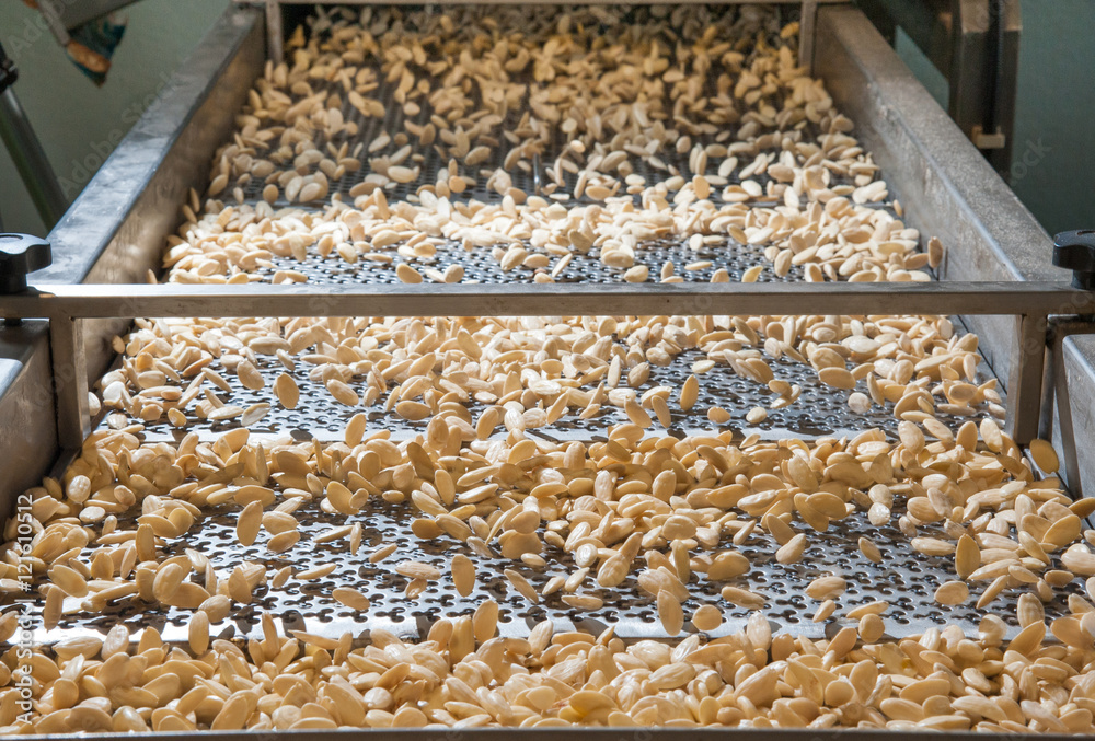 Shelled almonds in the carriage for the peeling process in a modern factory