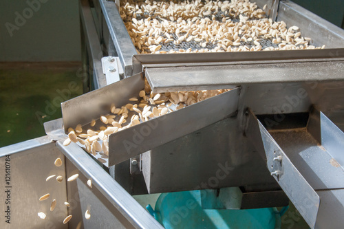 Shelled almonds in the carriage for the peeling process in a modern factory photo