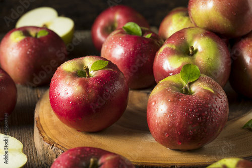 Raw Organic Red Mcintosh Apples photo