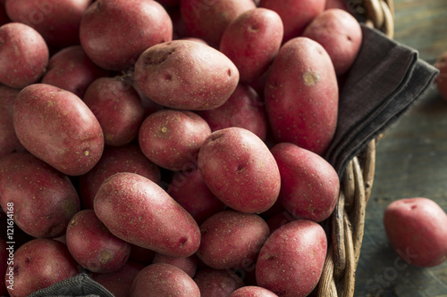Raw Organic Red Potatoes