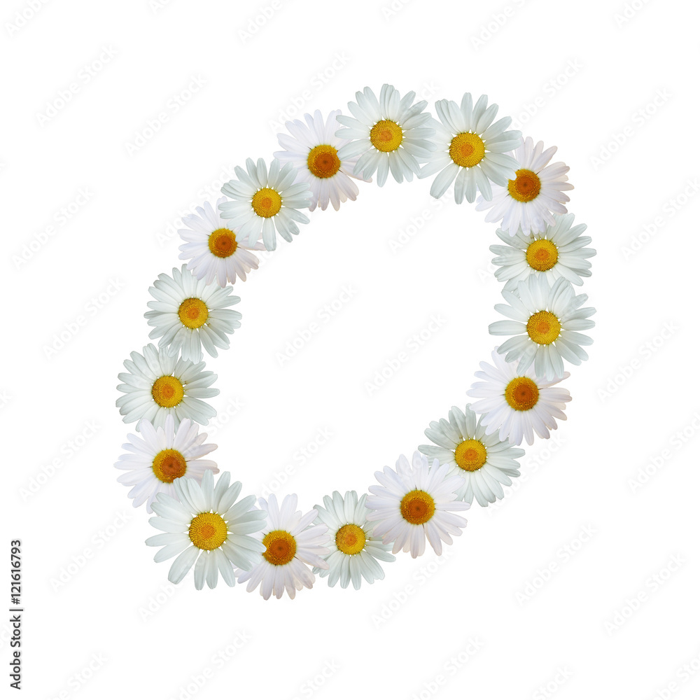Fototapeta premium White Daisy Letter O Upper Case