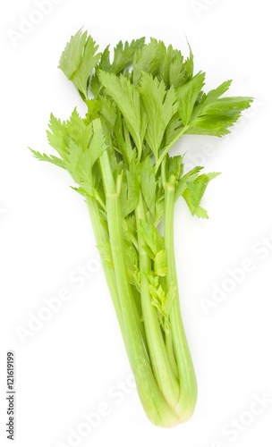 celery isolated on white background