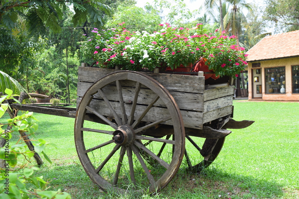 landscaping garden with flowers on wooden boat