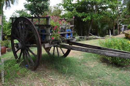 vehicle for decorating in landscaping park