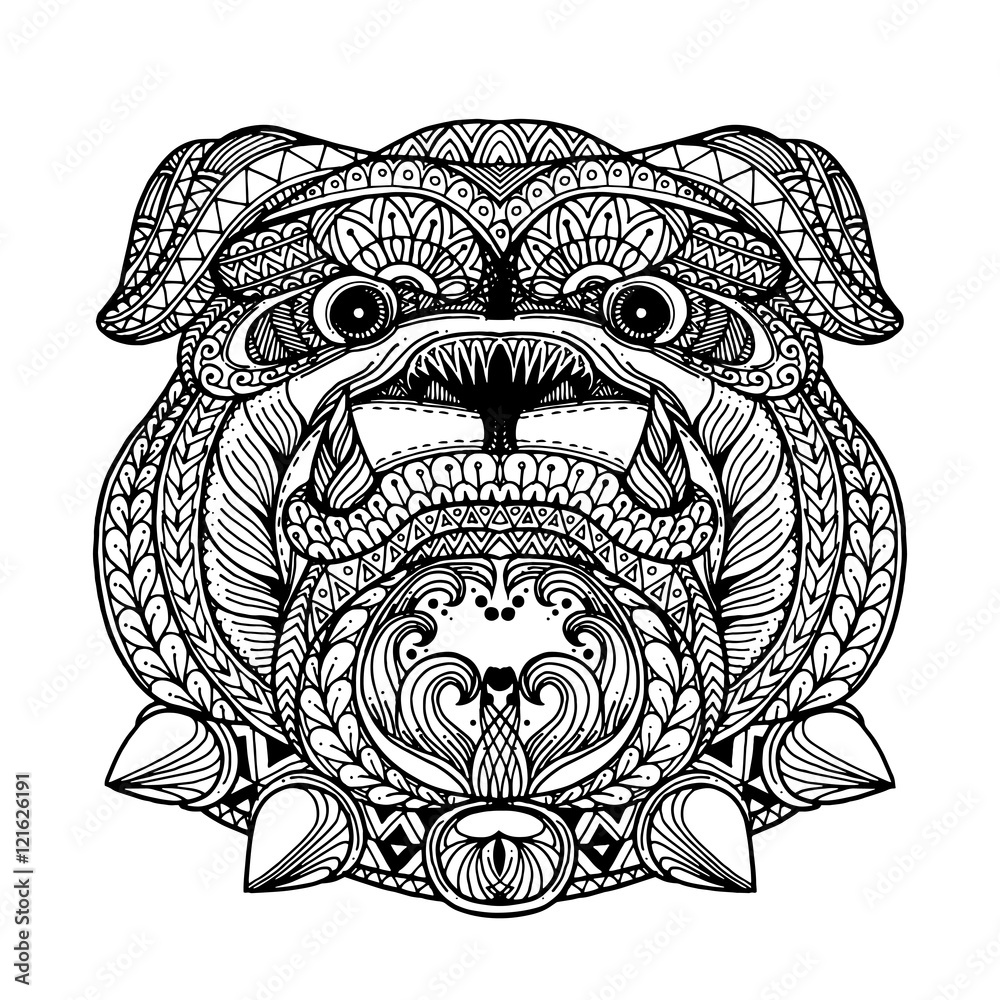 Zentangle style Bulldog face illustration in doodle style. Vecto