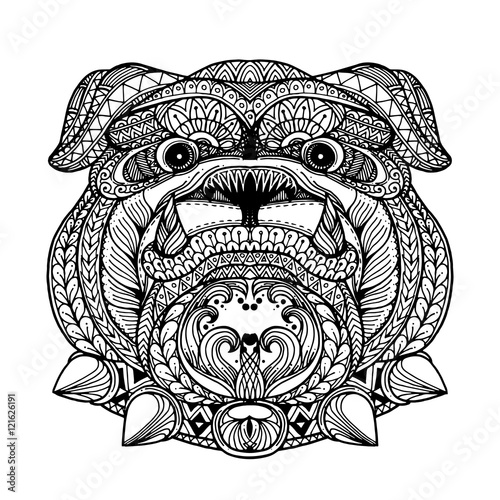 Zentangle style Bulldog face illustration in doodle style. Vecto photo