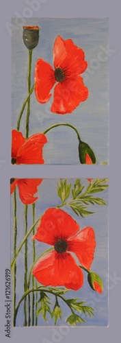 Oil painting of divided wild poppy plant on blue background