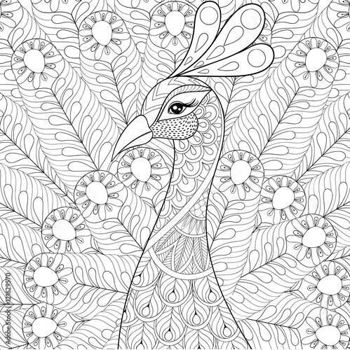 Peacock with feathers in zentangle style. Freehand sketch for ad