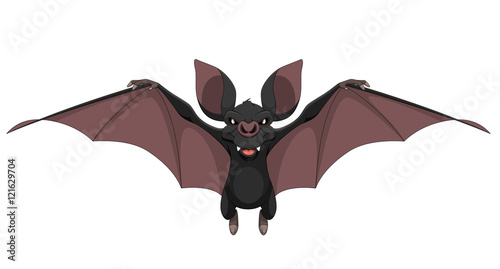 Funny bat smiling.