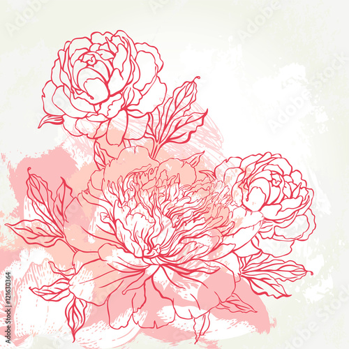 Beautiful peony bouquet design on beige background. Hand drawn vector illustration.