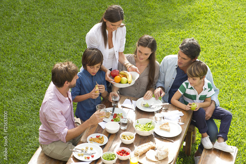 Family and friends gather for picnic