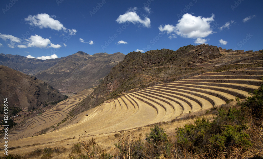 Agricoltura Inca