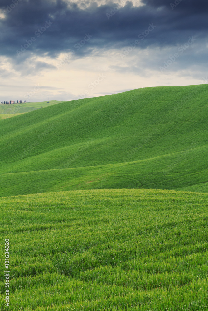 Typical Tuscany landscape springtime Typical Tuscany landscape springtime