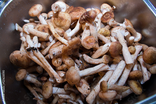 mushrooms in a metal shell