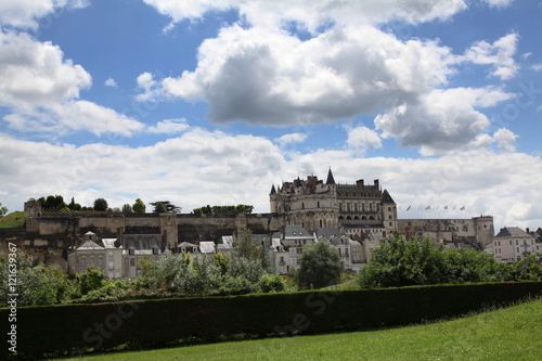 De la rive de La Loire: Château d'Amboise.