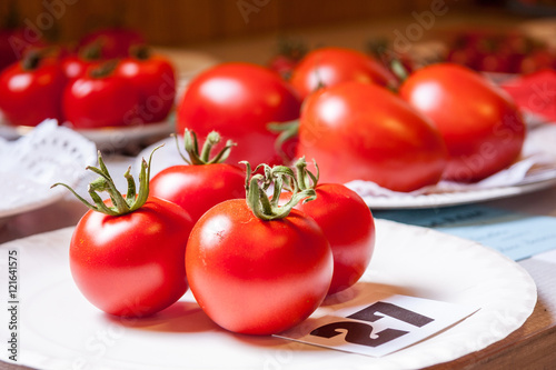 Tomatoes at a horticultural show