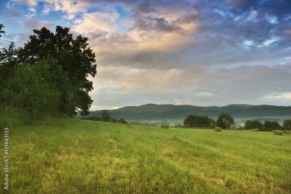 Beautiful summer in the mountains - early morning