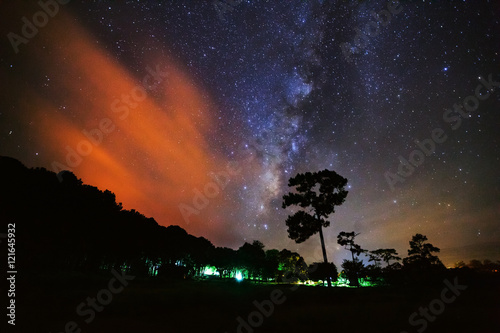 Silhouette of Tree and Milky Way with cloud at Phu Hin Rong Kla