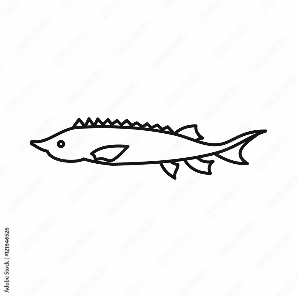 Fototapeta premium Fresh sturgeon fish icon in outline style isolated vector illustration