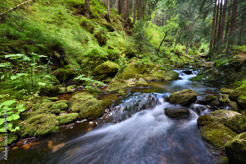 Swift mountain creek in a green valley