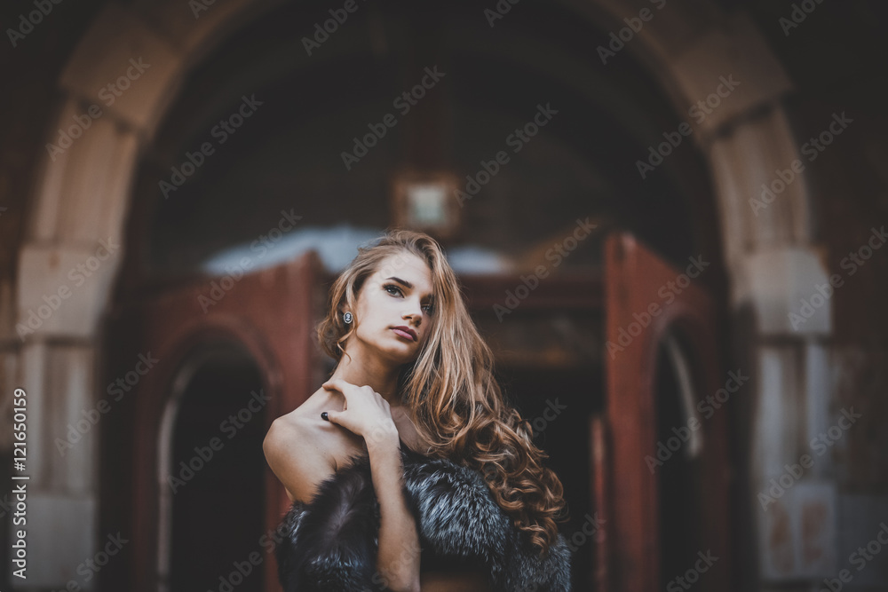 Obraz premium Young beautiful girl in vintage romantic antique dress near the vintage wooden door. fairy tale, legend