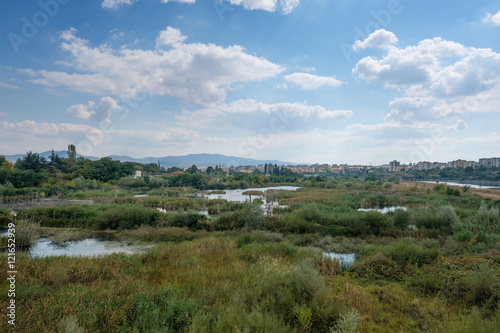 Swampland with Kardzhali  Bulgaria in the background